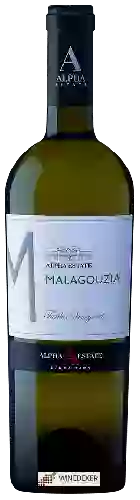 Bodega Alpha Estate (Κτήμα Αλφα) - Malagouzia Turtles Vineyard