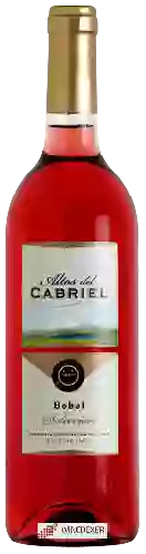 Bodega Altos del Cabriel - Selecciόn Bobal