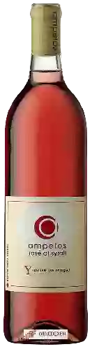 Bodega Ampelos - Rosé of Syrah (Upsilon: The Charged)