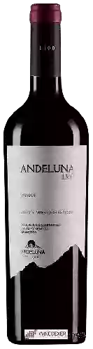 Bodega Andeluna - 1300 Merlot