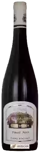 Bodega Andre Scherer - Pinot Noir