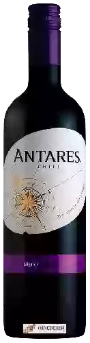 Bodega Antares - Merlot