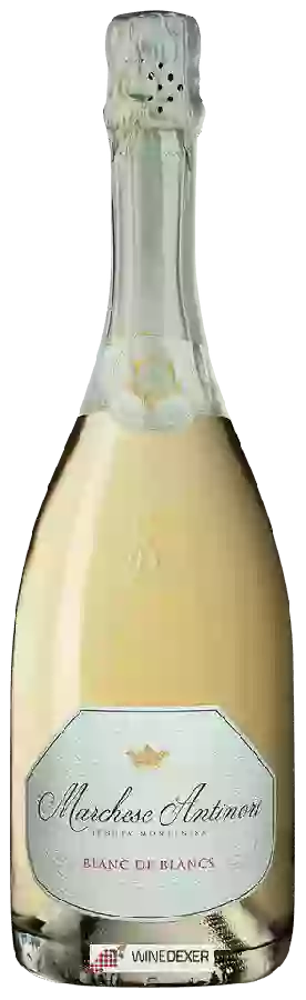 Bodega Antinori - Blanc de Blancs