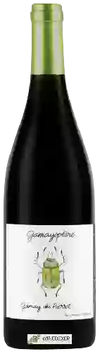 Bodega Antoine Lienhardt - Gamayoptère Gamay du Pierrot