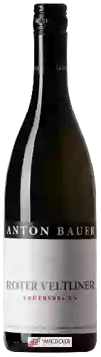 Bodega Anton Bauer - Roter Veltliner Feuersbrunn