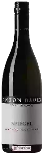 Bodega Anton Bauer - Spiegel Grüner Veltliner