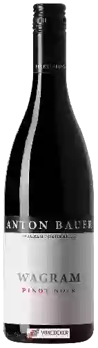 Bodega Anton Bauer - Wagram Pinot Noir