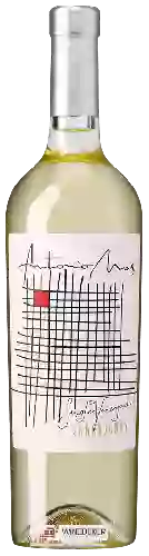 Bodega Antonio Mas - Single Vineyard Chardonnay