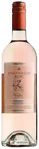 Bodega Antonio Rubini - Pinot Grigio Rosé