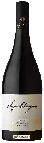 Bodega Apaltagua - Pinot Noir Reserva