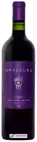 Bodega Antucura - Malbec