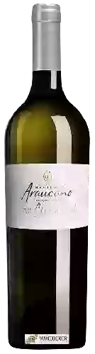 Bodega Araucano - Clos de Lolol White