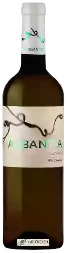 Bodega Arbantia - Albarino