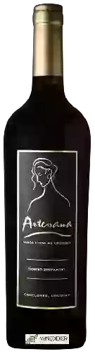 Bodega Artesana - Tannat - Zinfandel