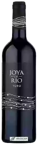 Bodega Artiga - Joya del Rio