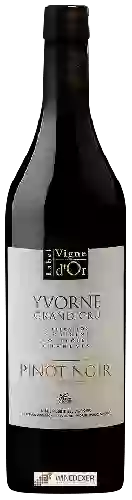 Bodega Artisans Vignerons d'Yvorne - Label Vigne d'Or Grand Cru Pinot Noir