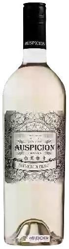 Bodega Auspicion - Sauvignon Blanc