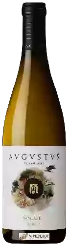 Bodega Avgvstvs - Macabeu