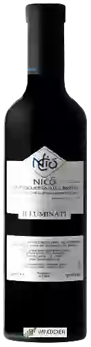 Bodega Illuminati - Nicò Controguerra Passito