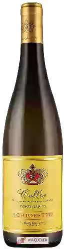 Bodega Schiopetto - Collio Pinot Grigio