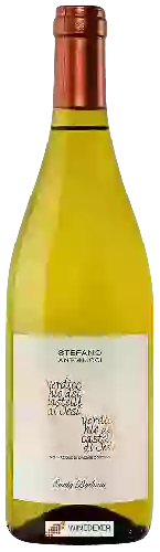 Bodega Azienda Santa Barbara - Stefano Antonucci - Verdicchio dei Castelli di Jesi