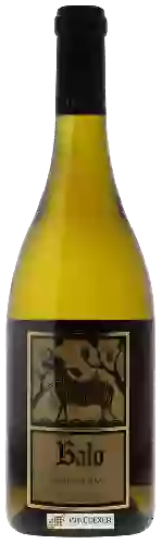 Bodega Balo - Pinot Noir Blanc