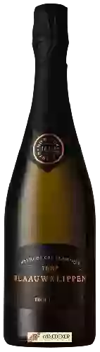 Bodega Blaauwklippen - Brut