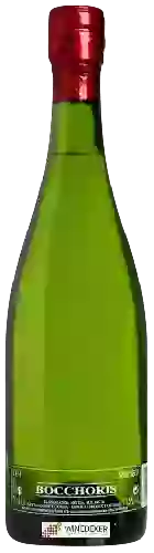 Bodega Bocchoris - Cava Semi Seco