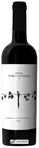 Bodega Terra Lombarda - Syrah