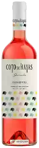 Bodegas Aragonesas - Coto de Hayas Garnacha Rosado