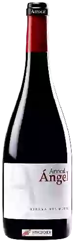 Bodegas Arrocal - Ángel Ribera del Duero