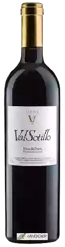 Bodegas Ismael Arroyo - Valsotillo VS Reserva