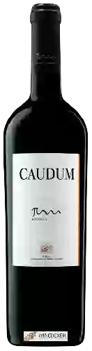 Bodegas Larraz - Caudum