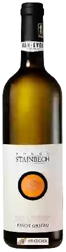 Bodega Borgo Stajnbech - Pinot Grigio Venezia