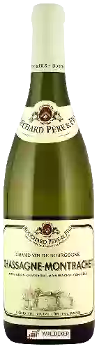 Bodega Bouchard Père & Fils - Chassagne-Montrachet Blanc