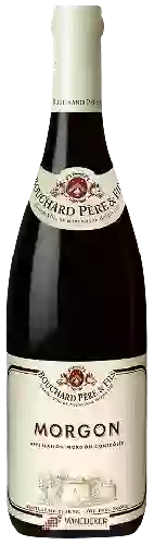 Bodega Bouchard Père & Fils - Morgon