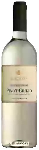 Bodega Bronis - Pinot Grigio