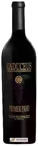 Bodega Caduceus - Primer Paso