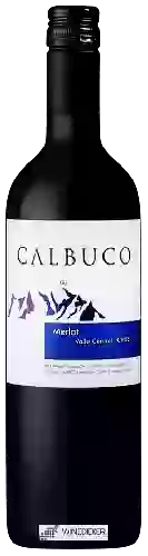 Bodega Calbuco - Merlot