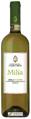 Bodega Cameli Irene - Milia Passerina