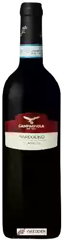 Bodega Campagnola - Bardolino Classico