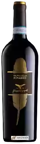 Bodega Campagnola - Valpolicella Ripasso