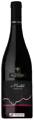 Bodega Cantina Aldeno - Athesim Flumen Merlot