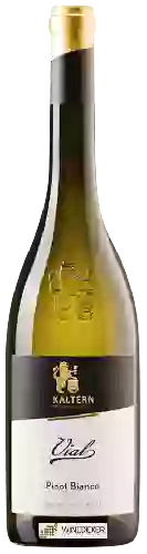 Bodega Cantina Kaltern - Pinot Bianco Vial