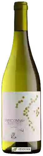 Bodega Cantina Rotaliana - Trentino Chardonnay