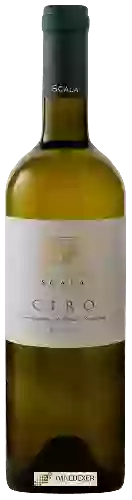 Bodega Scala - Cirò Bianco