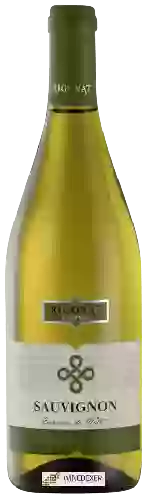 Bodega Cantine Rigonat - Sauvignon