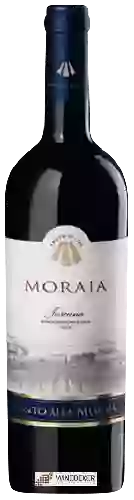 Bodega Canto Alla Moraia - Moraia