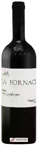 Bodega Carpineto - La Fornace