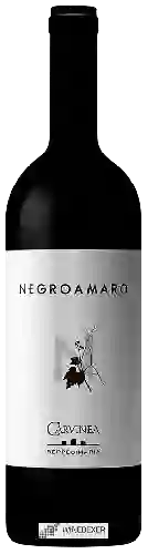 Bodega Carvinea - Negroamaro